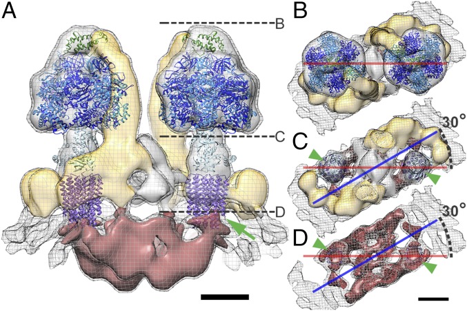 Fig. 2.