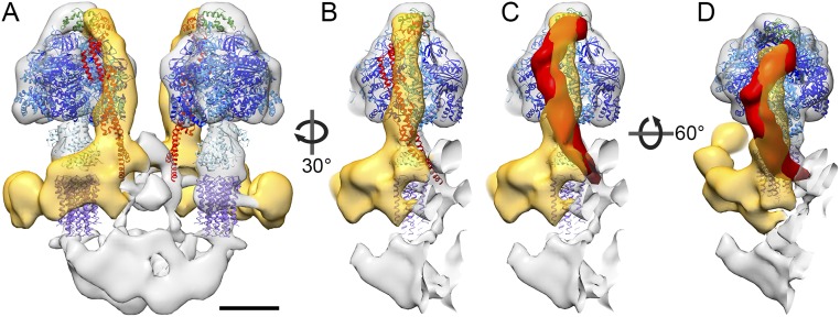 Fig. S5.