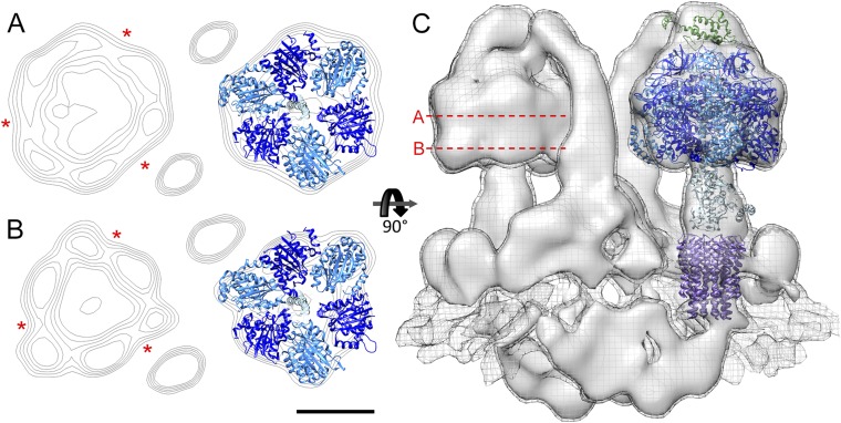 Fig. S4.