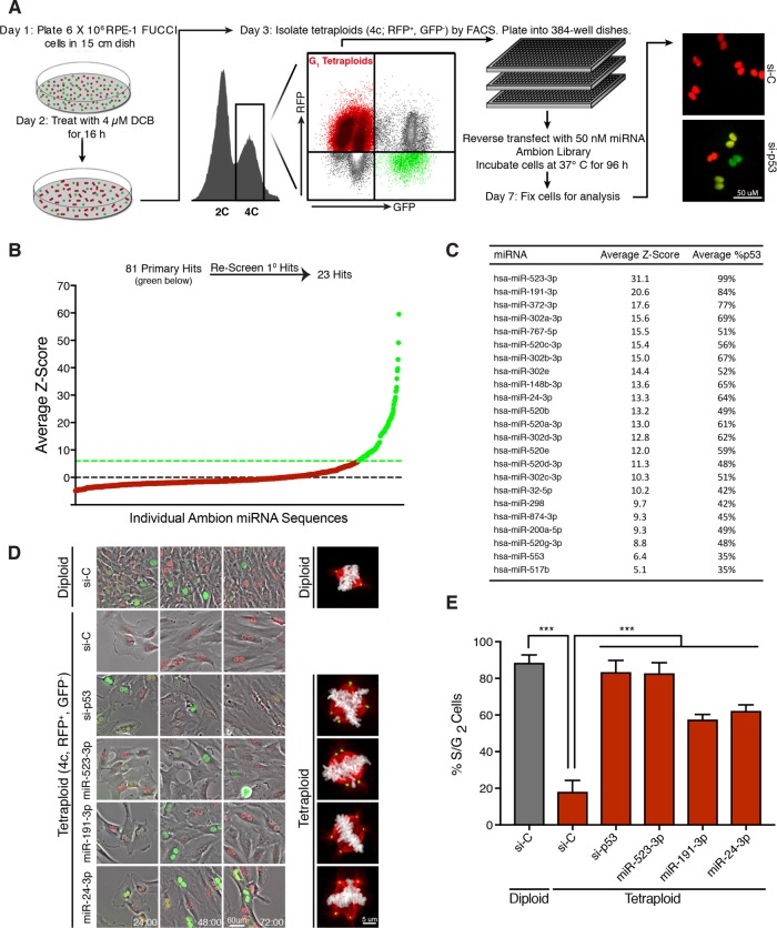 FIGURE 1: