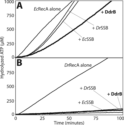 FIGURE 10.