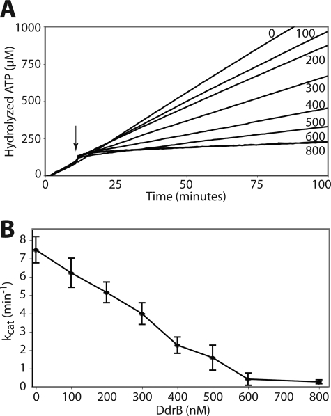 FIGURE 9.