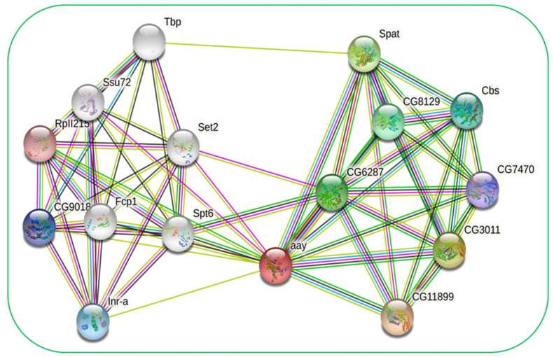 Figure 4