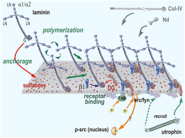 Figure 10.