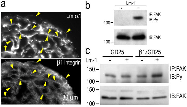 Figure 9.