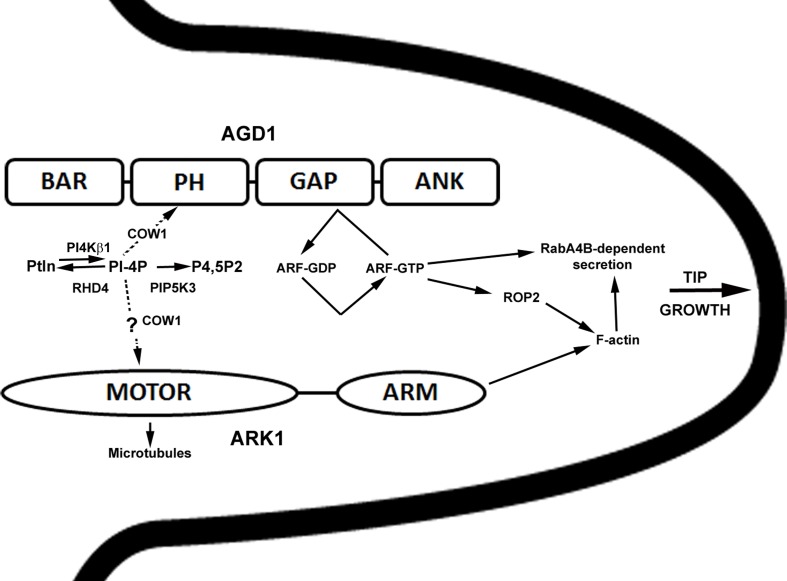 Figure 7