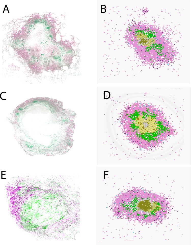 FIG 2