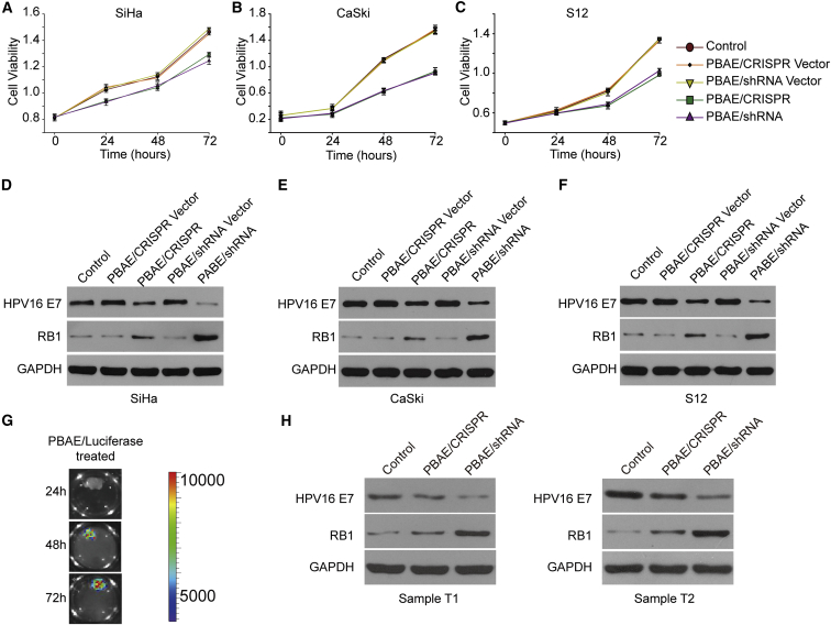 Figure 3