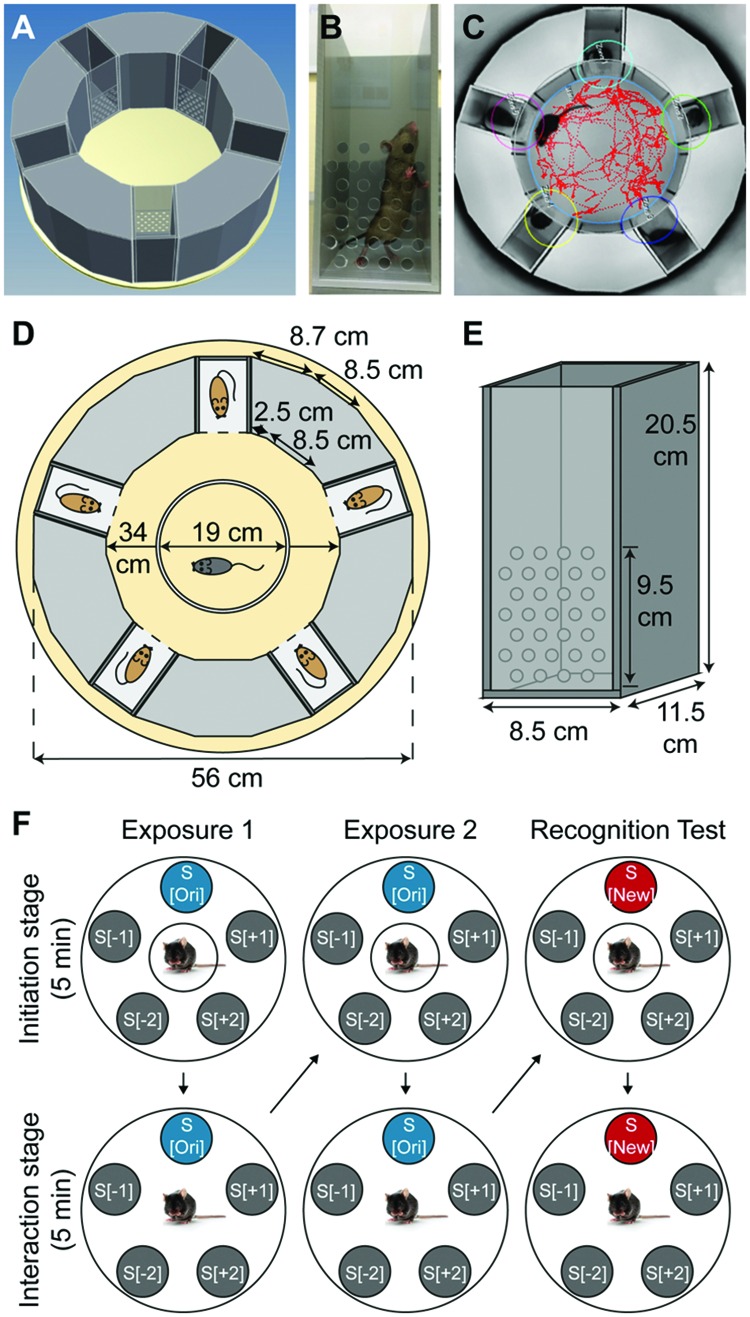 FIGURE 1