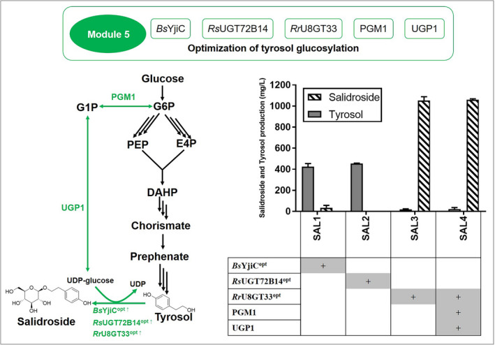 Fig. 4