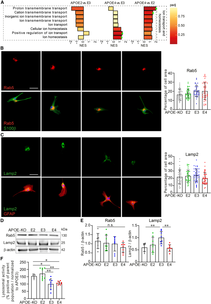 Figure 4