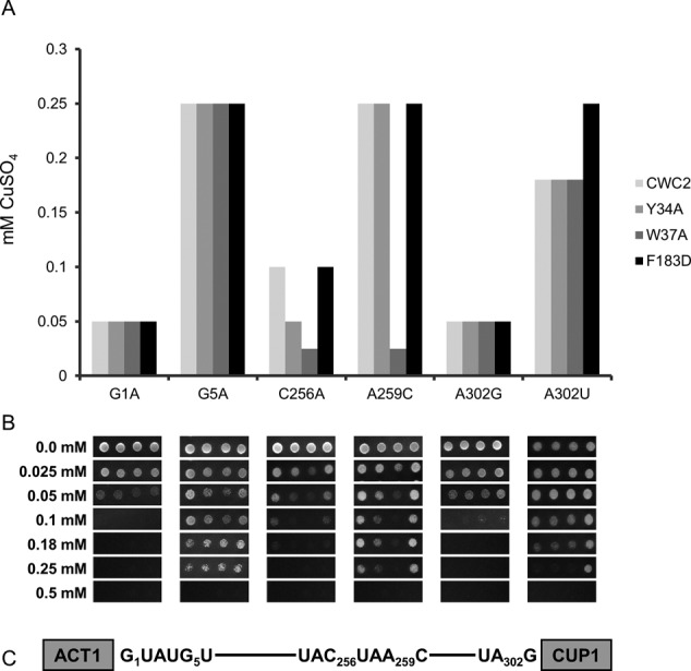 Figure 5.