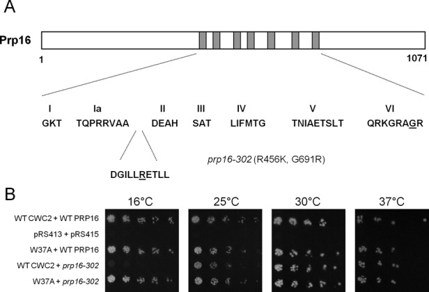 Figure 6.