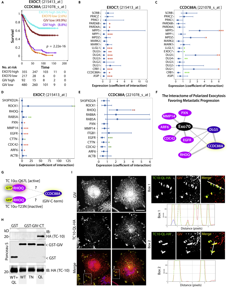 Figure 6