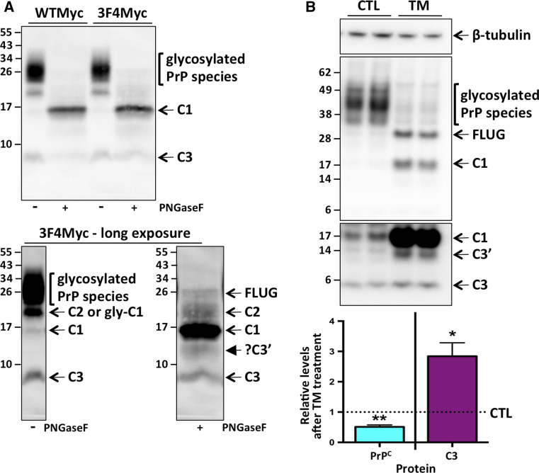 Fig. 3