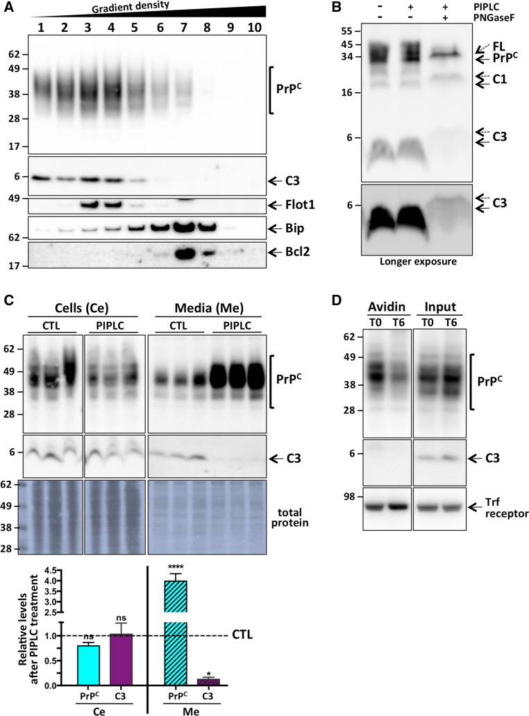 Fig. 4