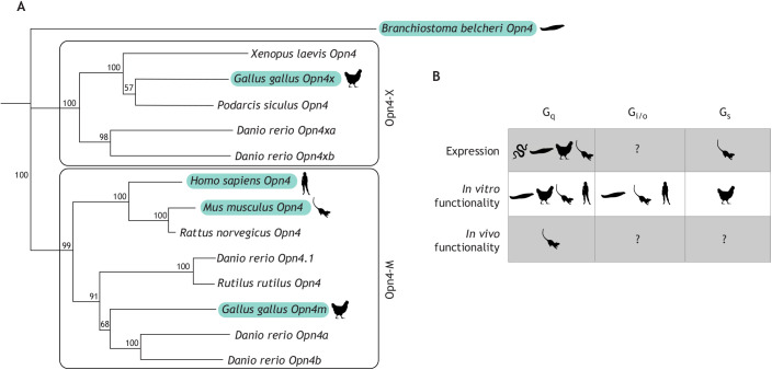 Fig. 4.