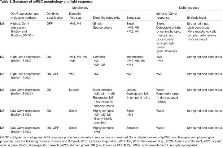 graphic file with name jexbio-224-226522-i1.jpg