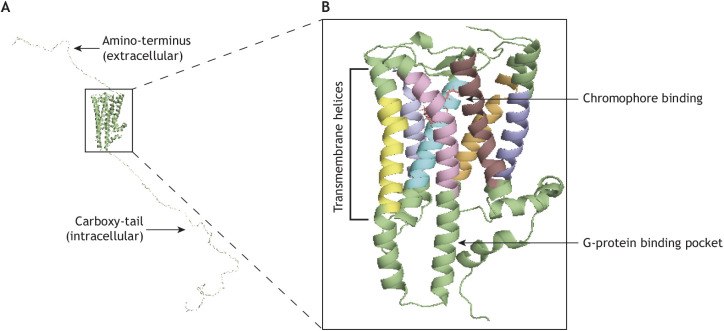 Fig. 1.