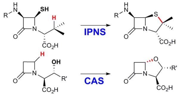 Scheme 3