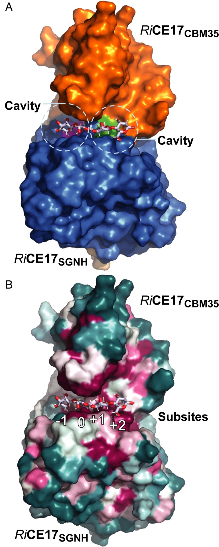 Fig. 3.