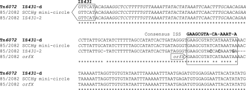 FIG. 2.