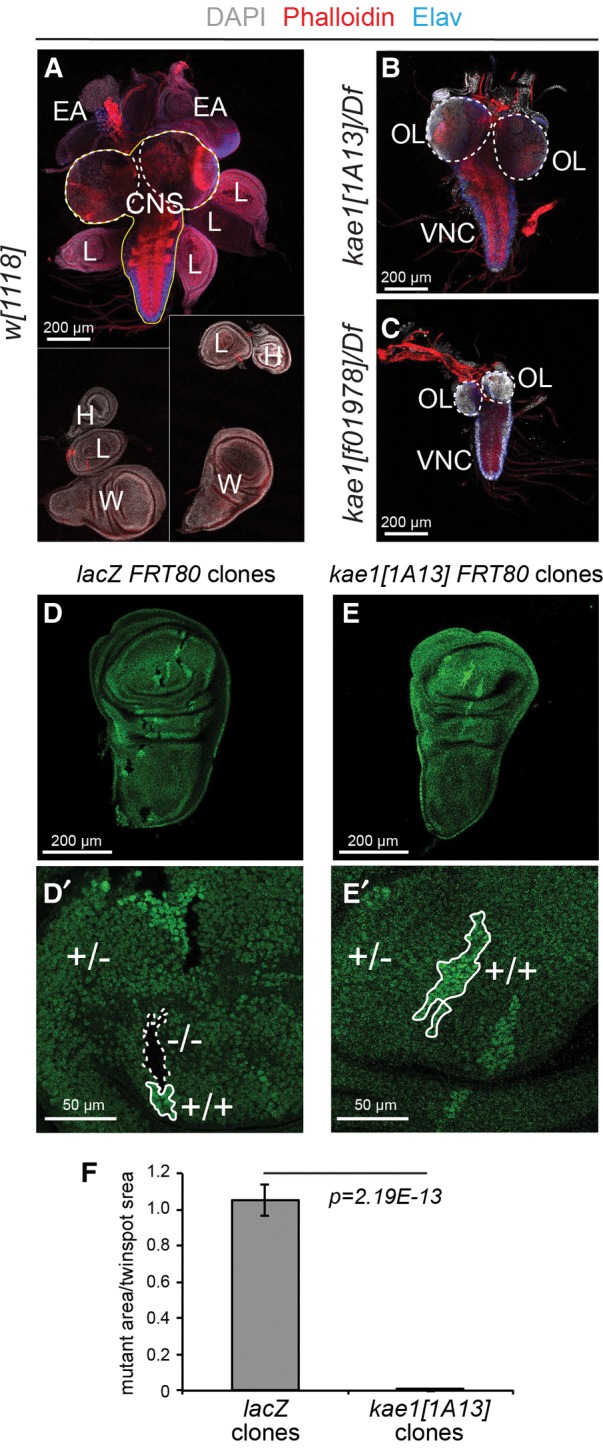 FIGURE 6.