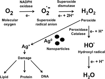 Fig. 2