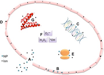 Fig. 4