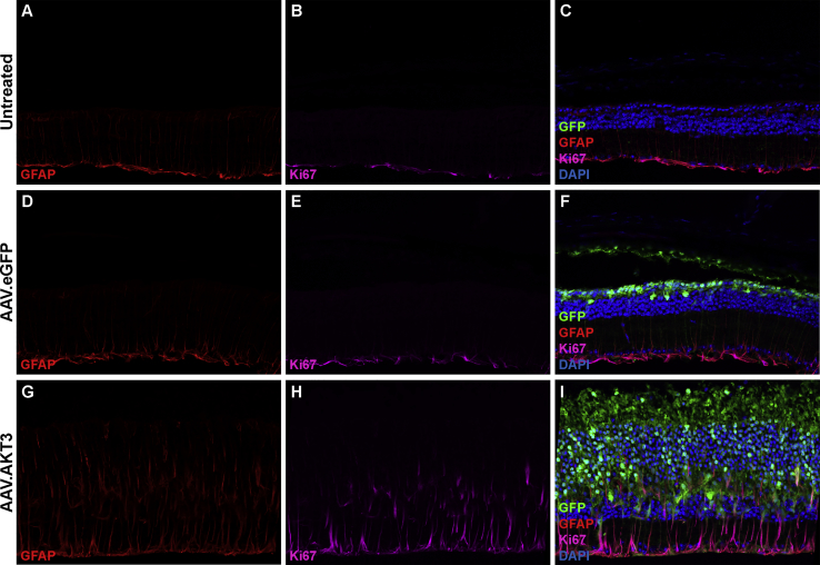 Figure 6