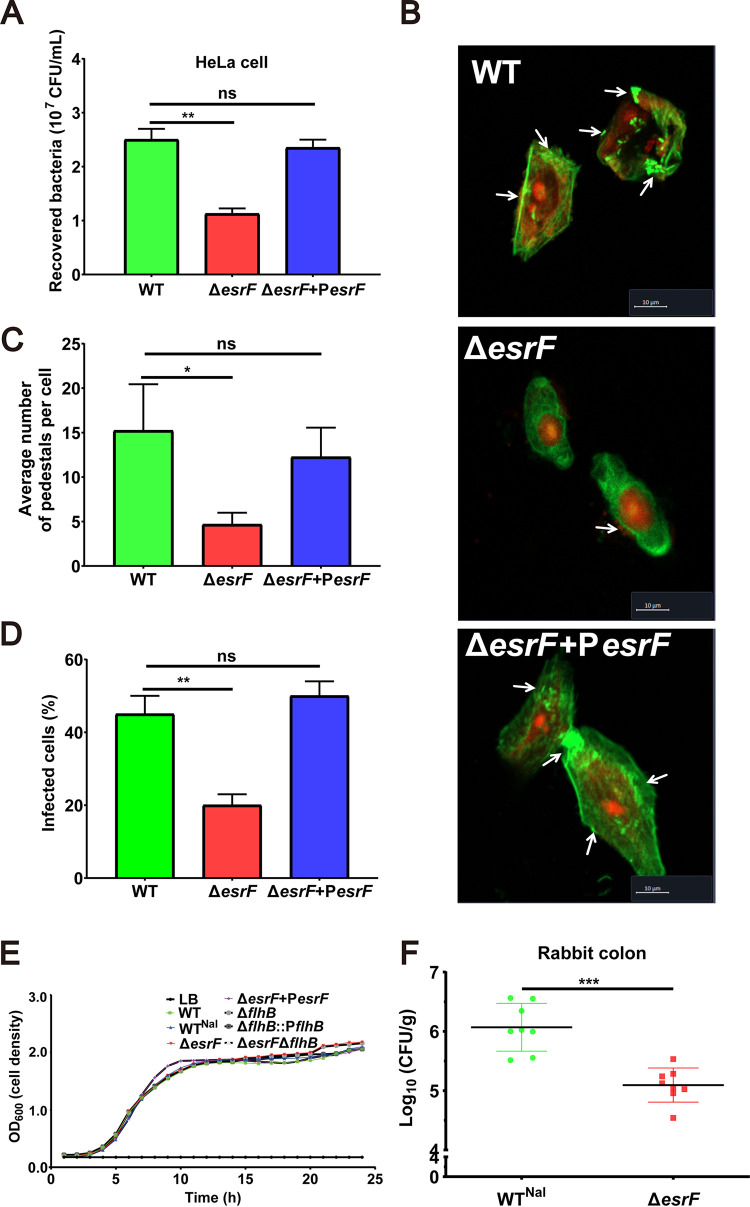 FIG 2