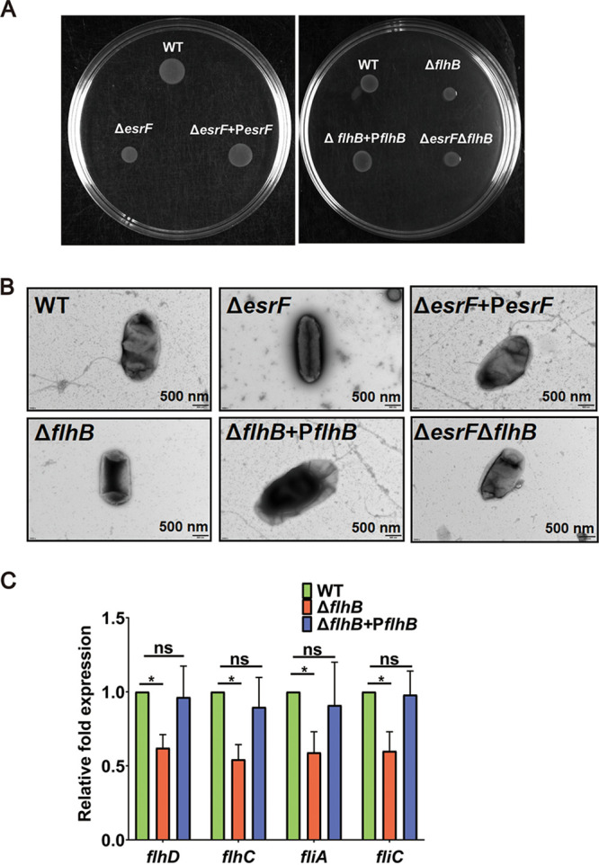 FIG 4