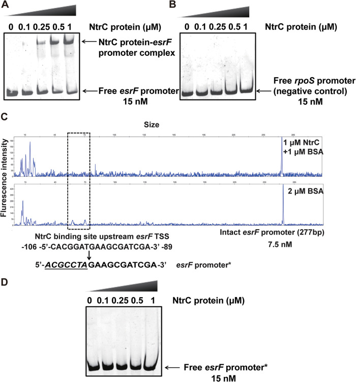 FIG 6