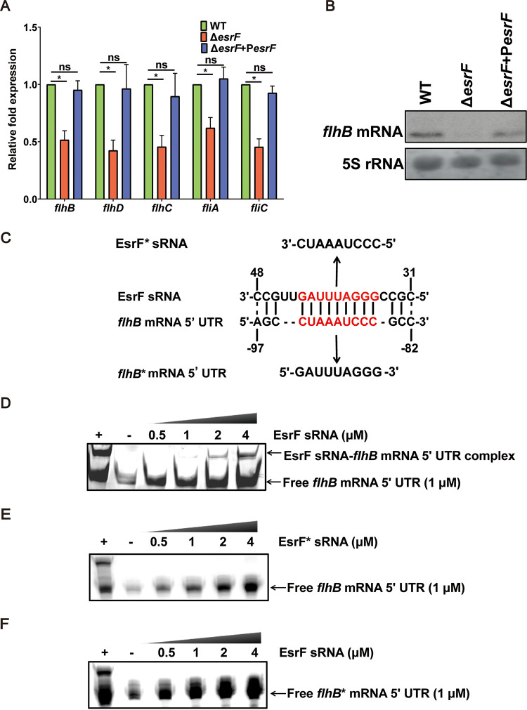 FIG 3