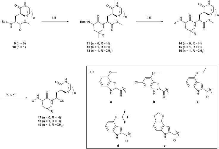 Scheme 1