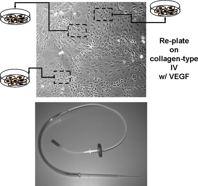 Figure 1F.5.5