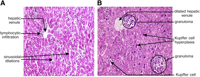 Fig. 9.