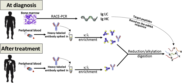 Figure 1