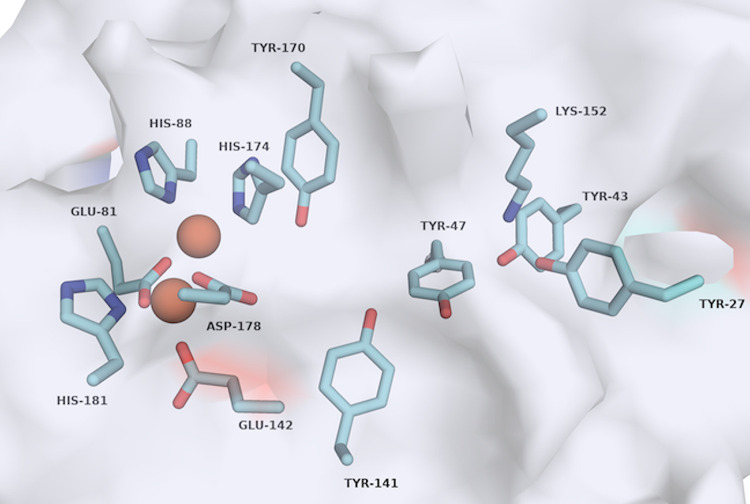 FIG 6