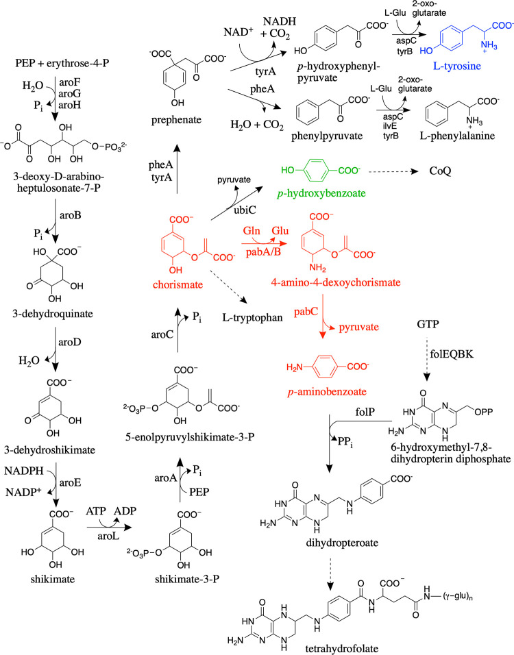 FIG 1