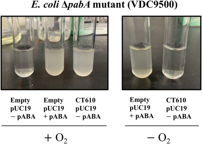 FIG 2