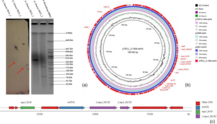 FIG 1