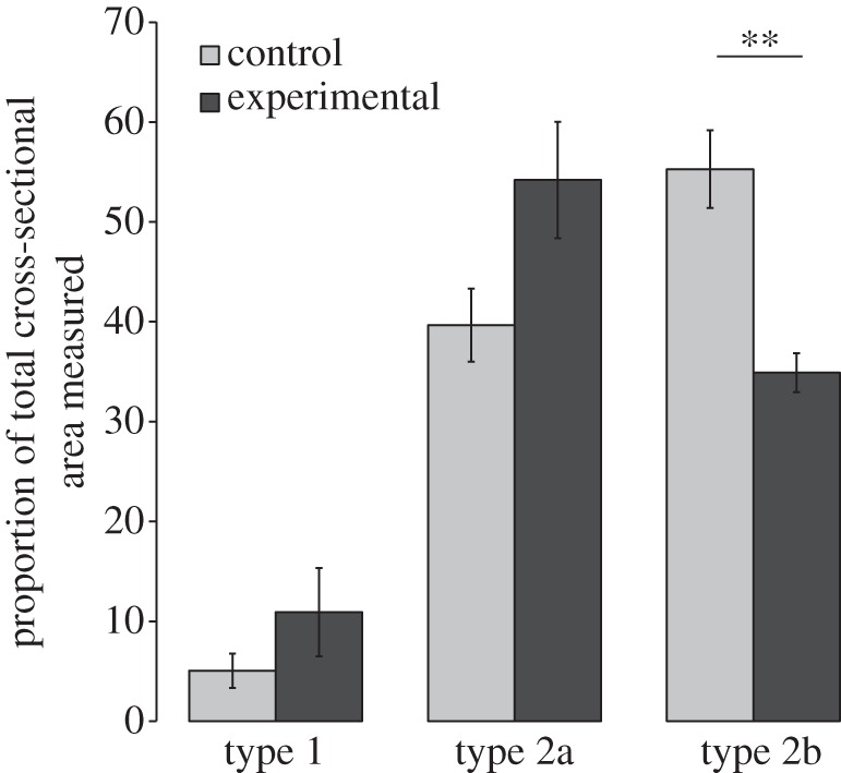 Figure 3.