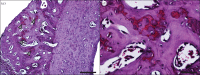 Figure 10.