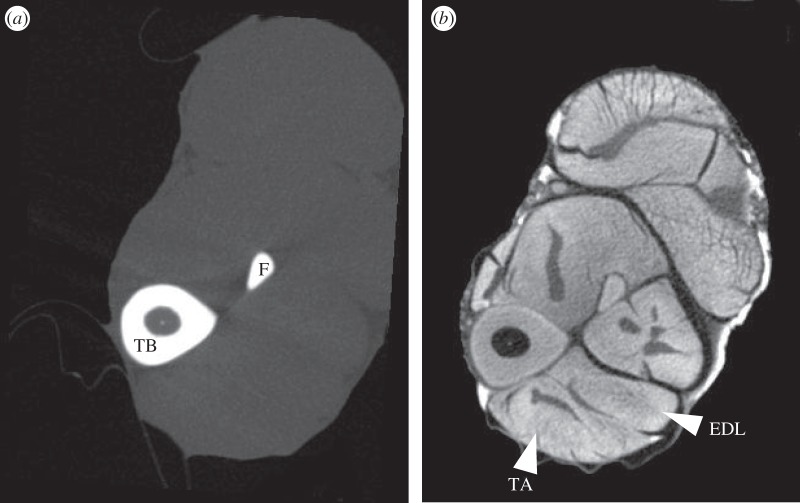 Figure 1.