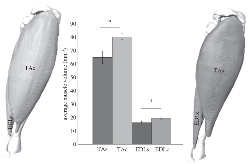 Figure 2.