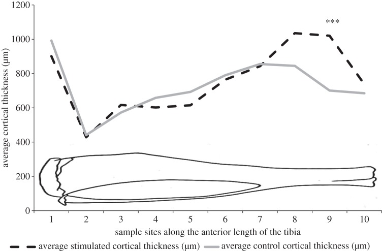 Figure 6.