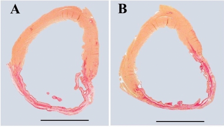 Fig. 2