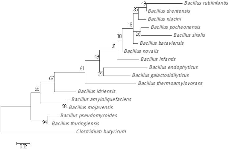 Fig. 1