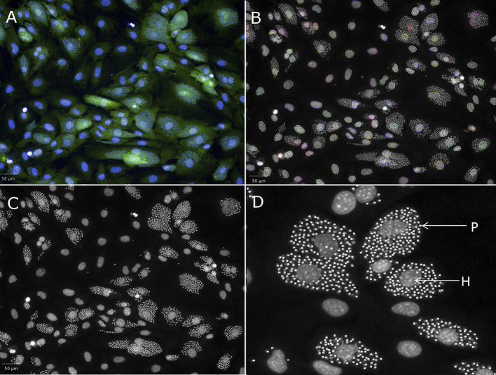 Fig. 2